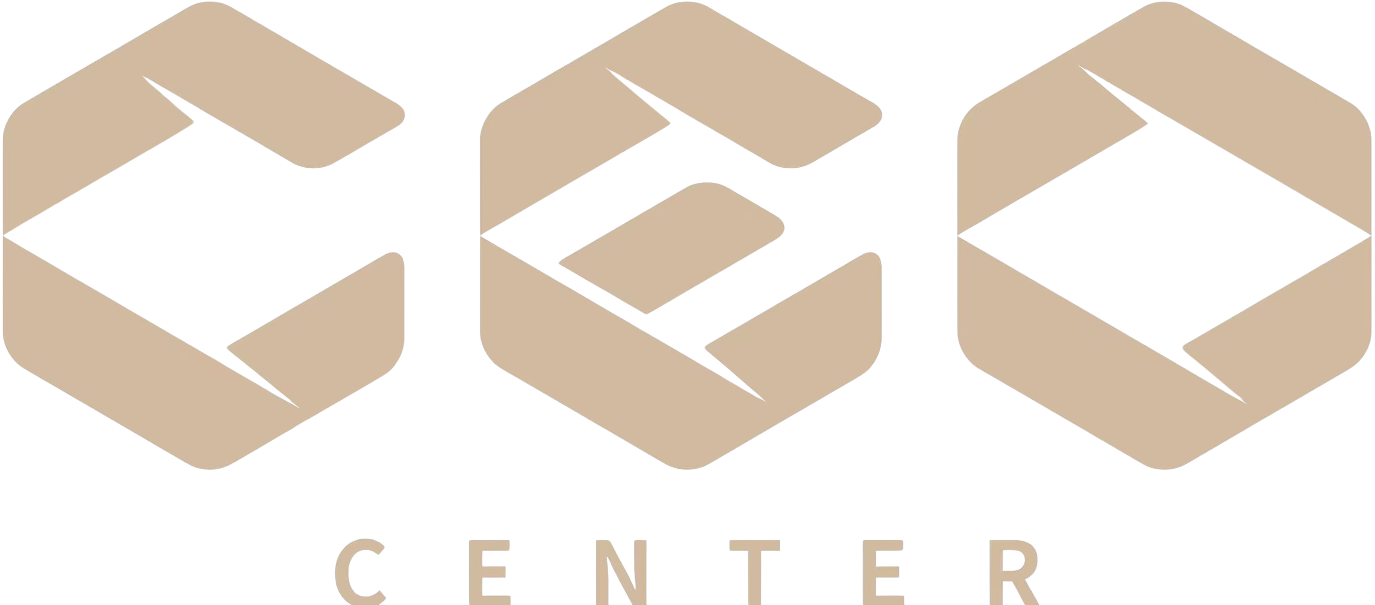 CEO Center Cambodia logo